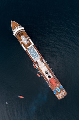 white and brown cruise ship