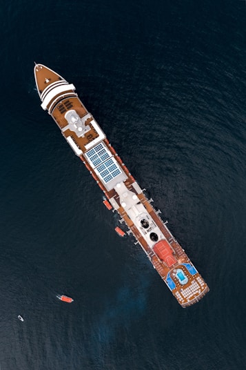 white and brown cruise ship