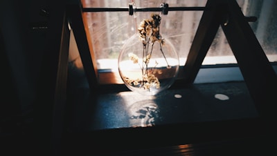 A kokedama suspended in front of a sunlit window, casting gentle shadows.
