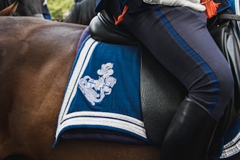 horse cover embroidery