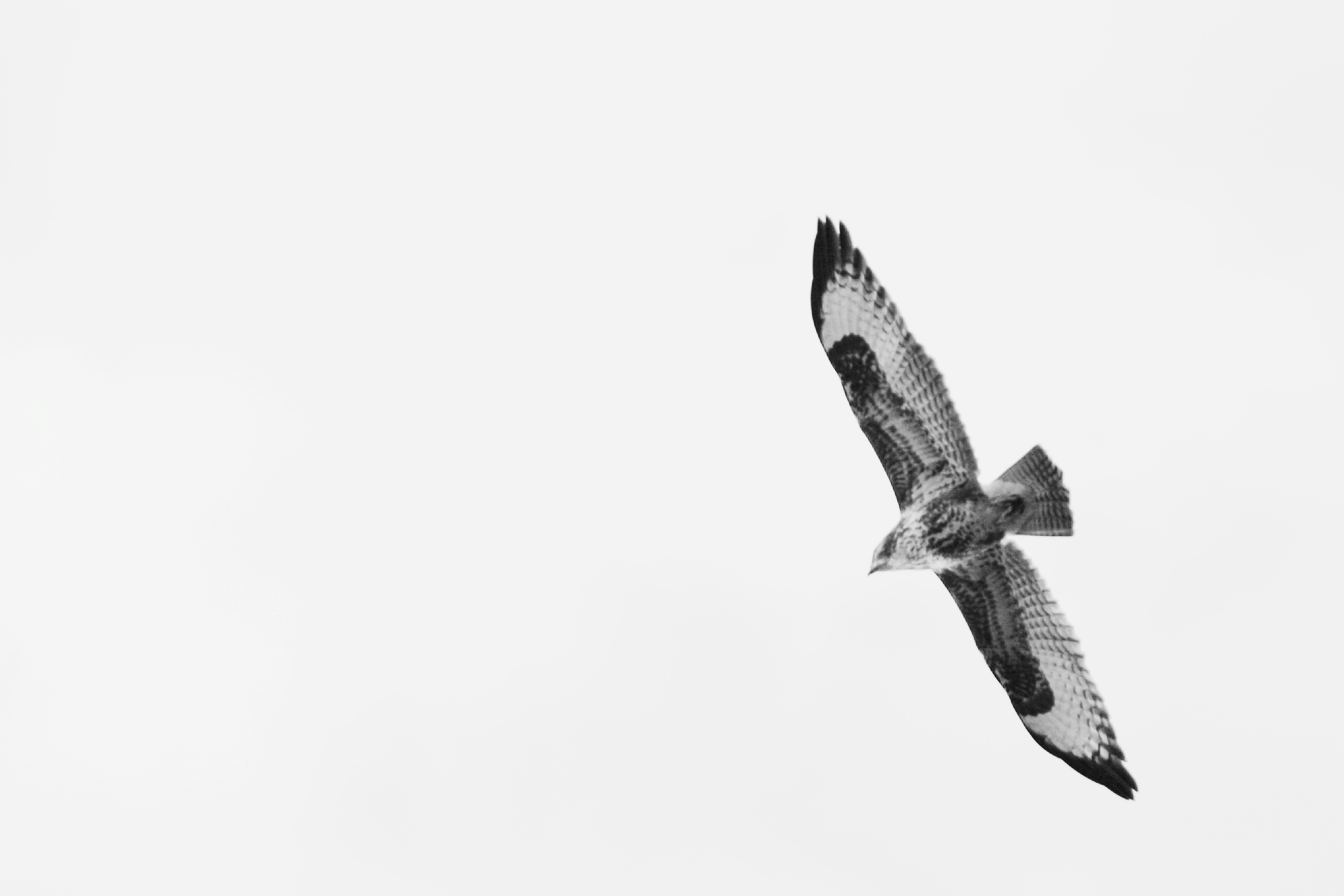 Photo by zoes_photography01