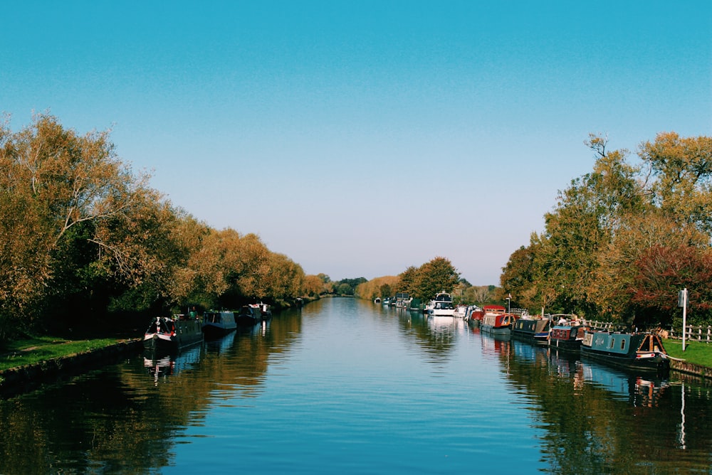 boats docked beside railings