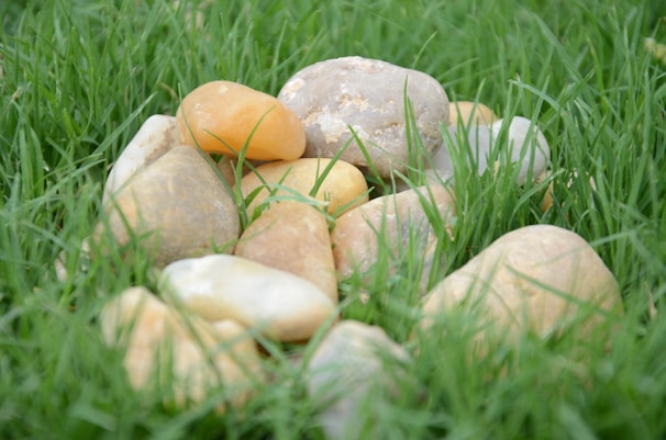 A cluster of smooth, rounded stones rests on a bed of lush green grass. The stones vary in color from light beige to earthy browns and grays, with some showing subtle hints of orange. The grass appears vibrant and healthy, creating a natural contrast to the muted tones of the stones.