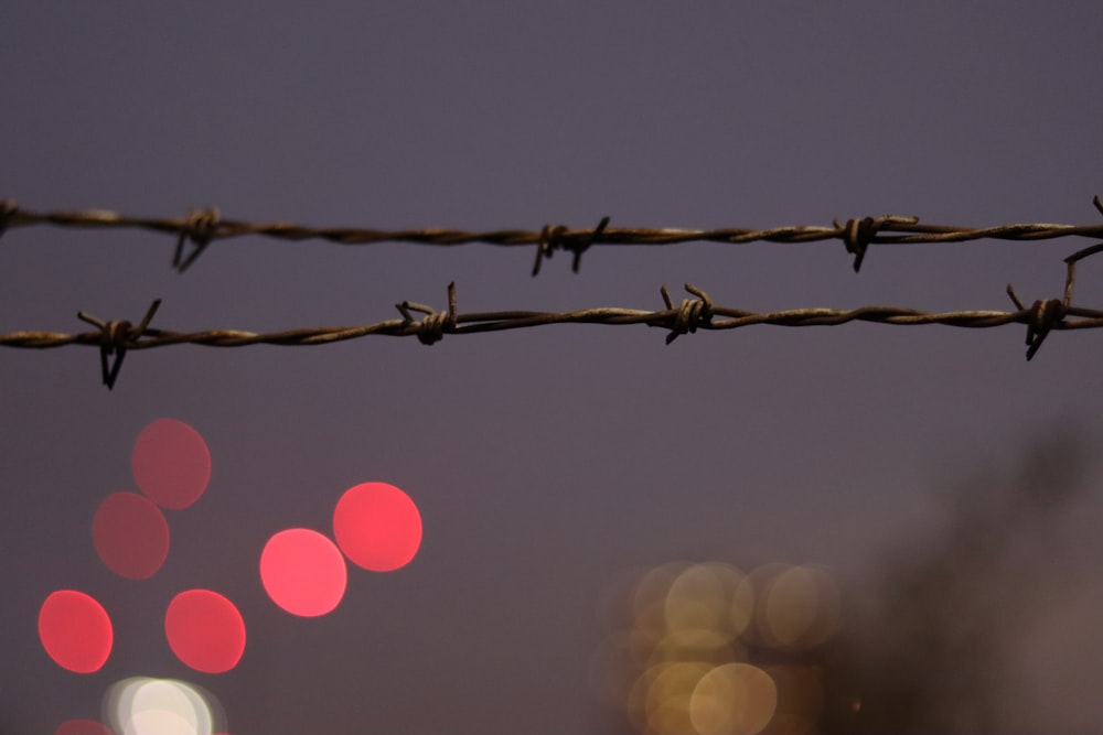 gray barb wire