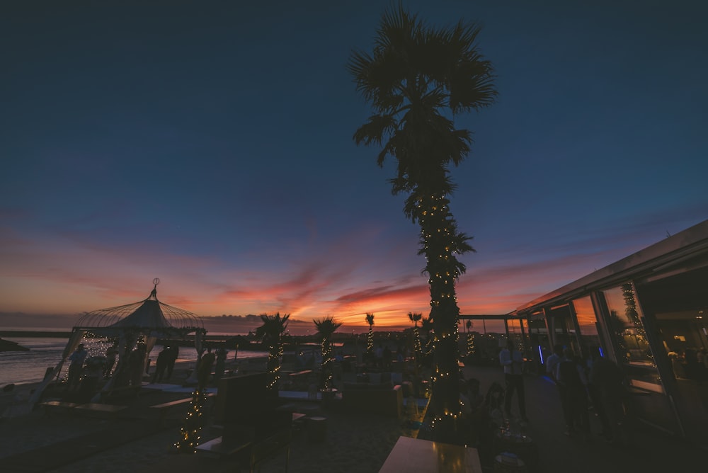 people at the restaurant beside beach during sunset