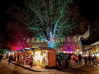 A festive outdoor market scene with wooden booths adorned with string lights, set against a backdrop of colorful illuminated trees. People are walking and browsing various goods, creating a lively and bustling atmosphere. The scene is framed by a large building in the background, adding to the festive ambiance.