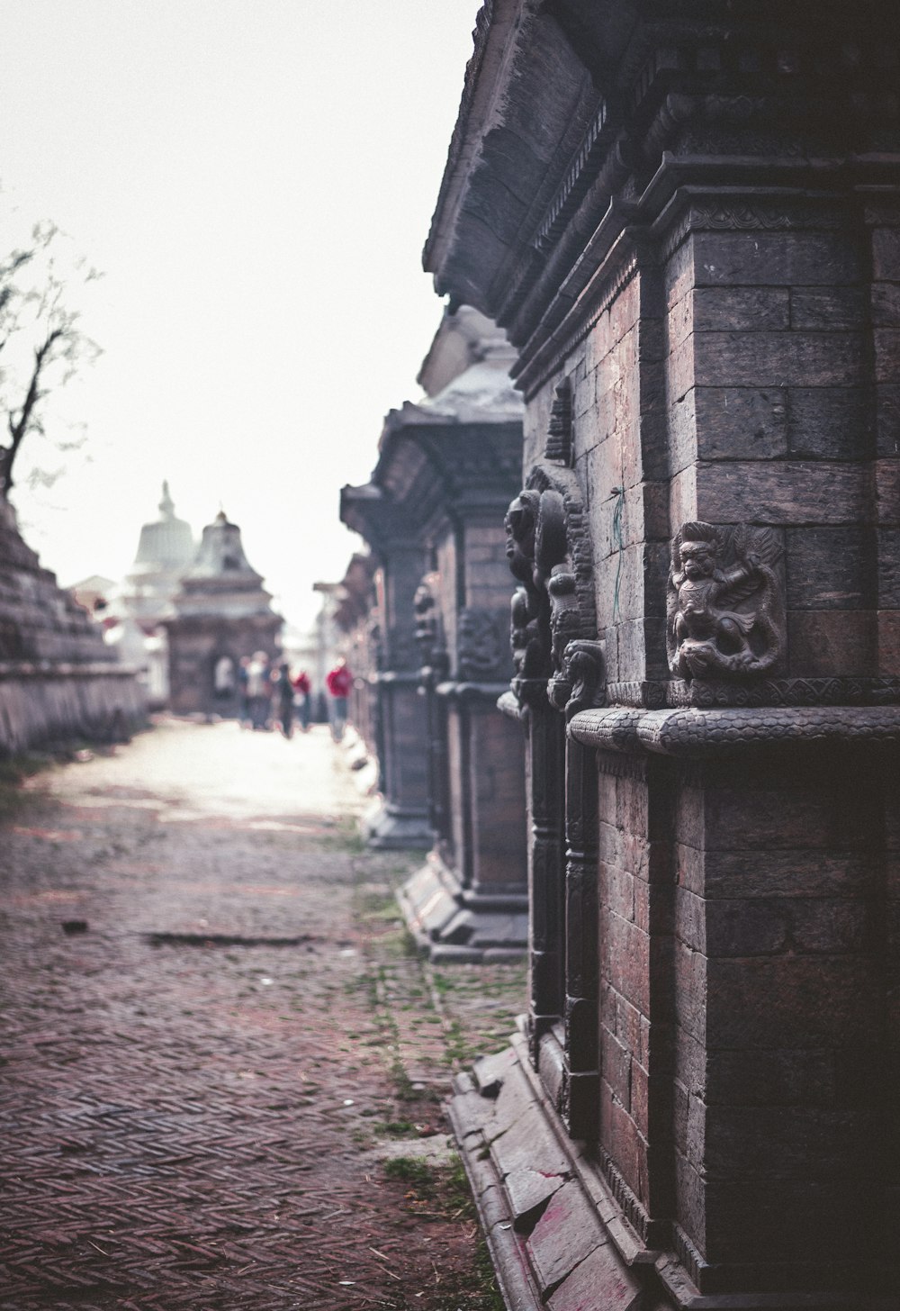 people walking near wall