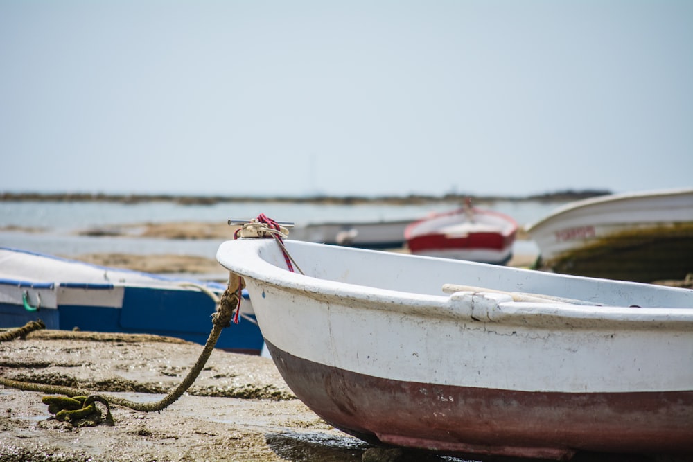 white boat