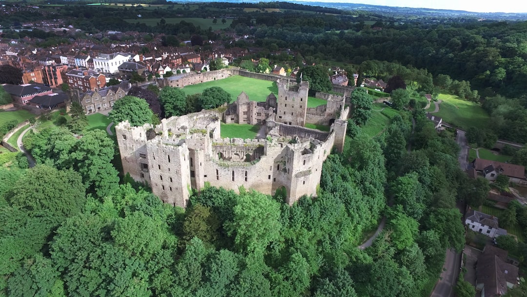 aerial photography of castle surrounded by trees