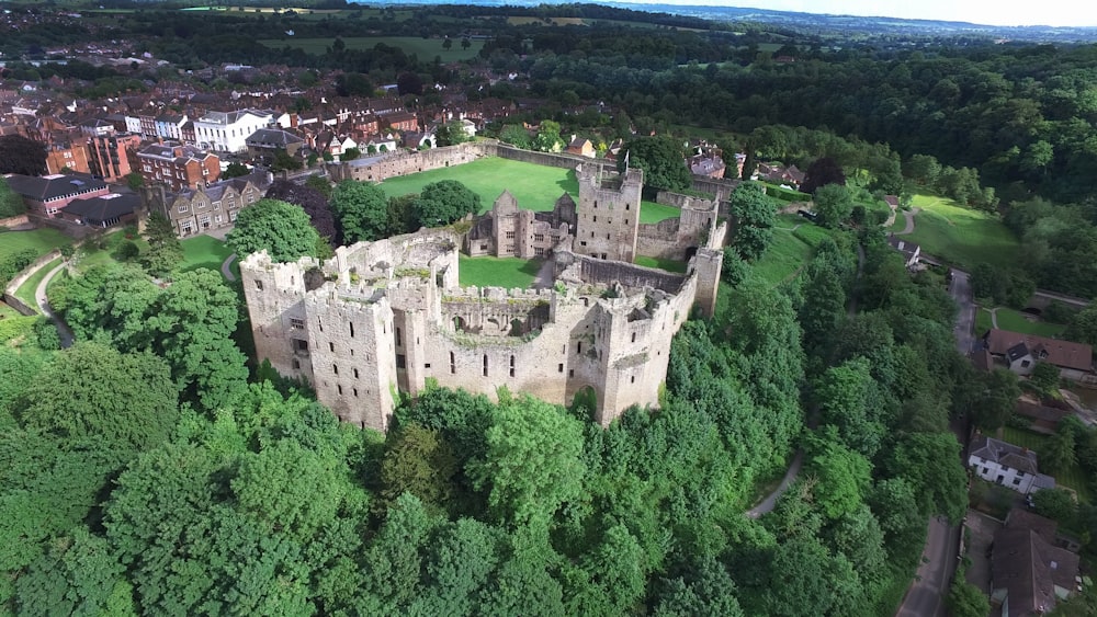 Photographie aérienne d’un château entouré d’arbres