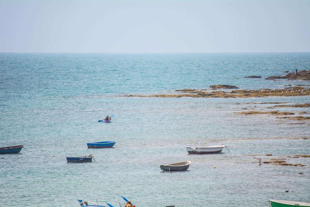 boat on body of water