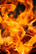 burning wood