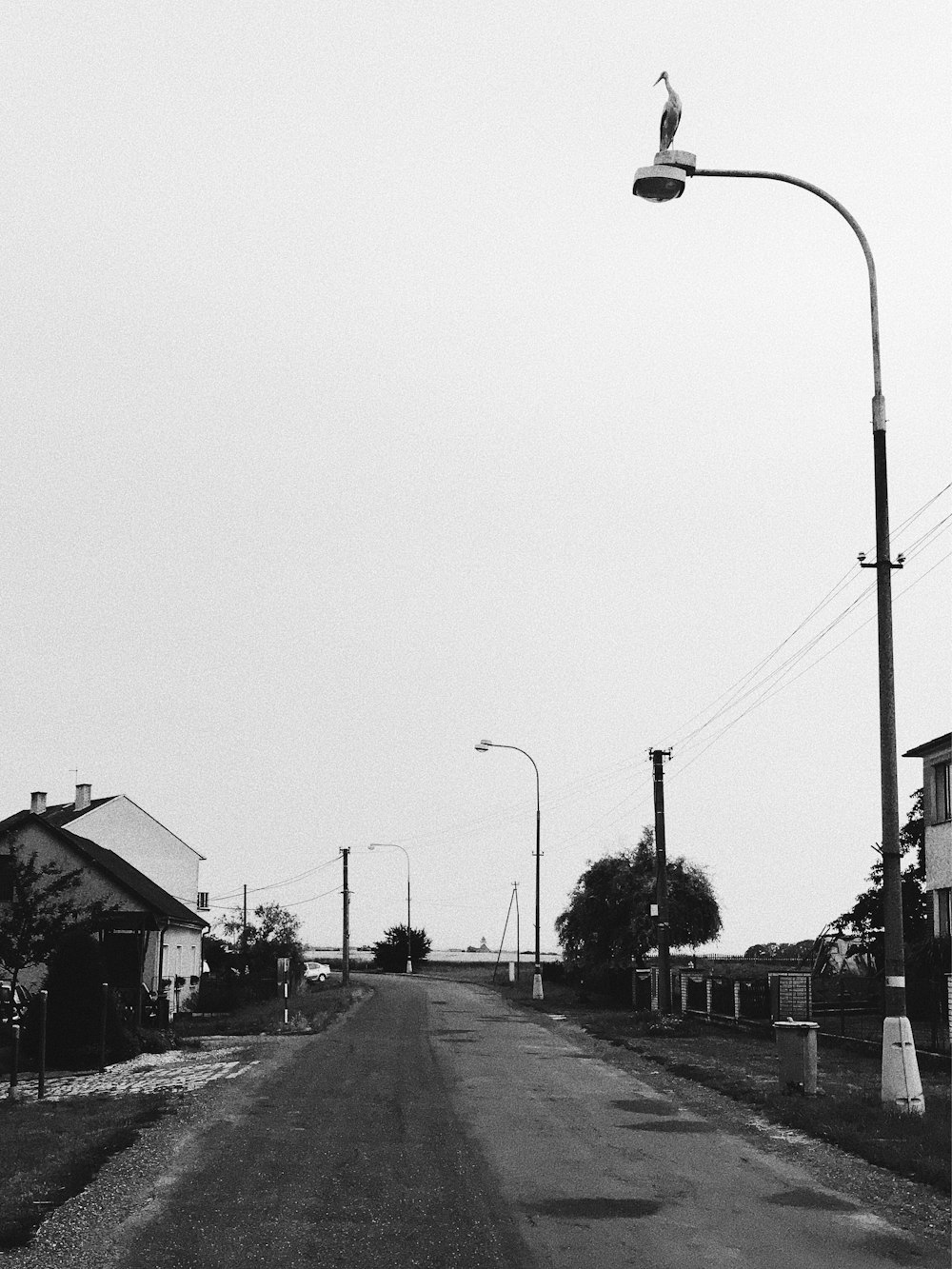 grayscale photo of street