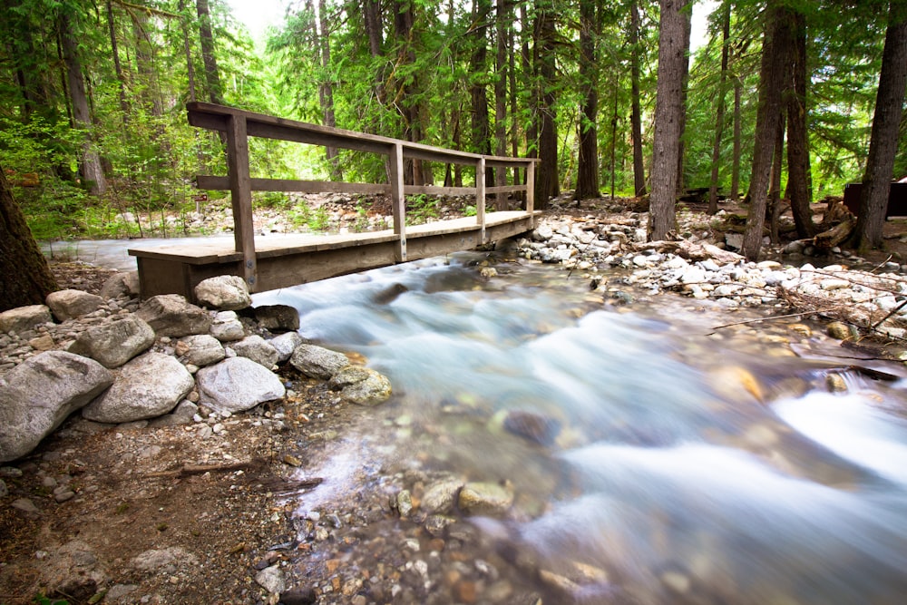 Photographie panoramique de la rivière