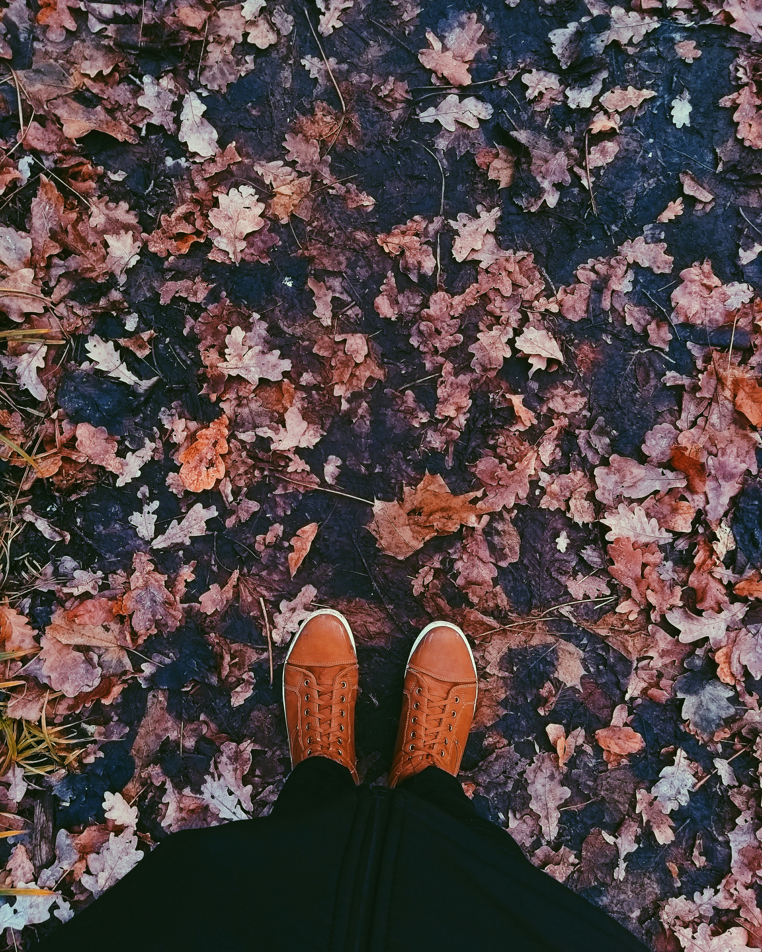 가을 신발 스타일링: 트렌드와 팁