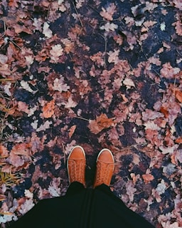 A pair of orange brown shoes standing on a ground covered with fallen autumn leaves. The leaves vary in shades of brown, red, and orange, creating a textured, natural carpet. The shoes contrast against the organic environment with their clean lines and bright color.