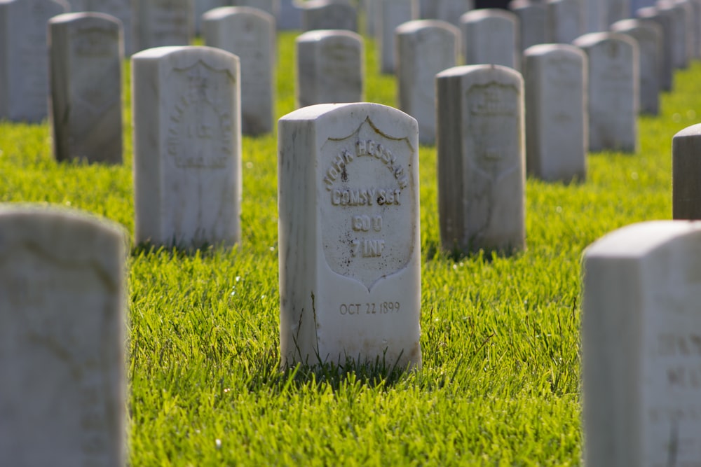 gray concrete commemorative stones