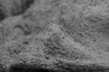 Close-up of wool fibers looking soft and plush after professional cleaning.