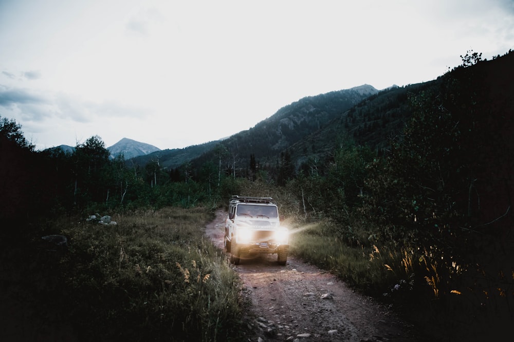 turned-on light vehicle on road between grasses