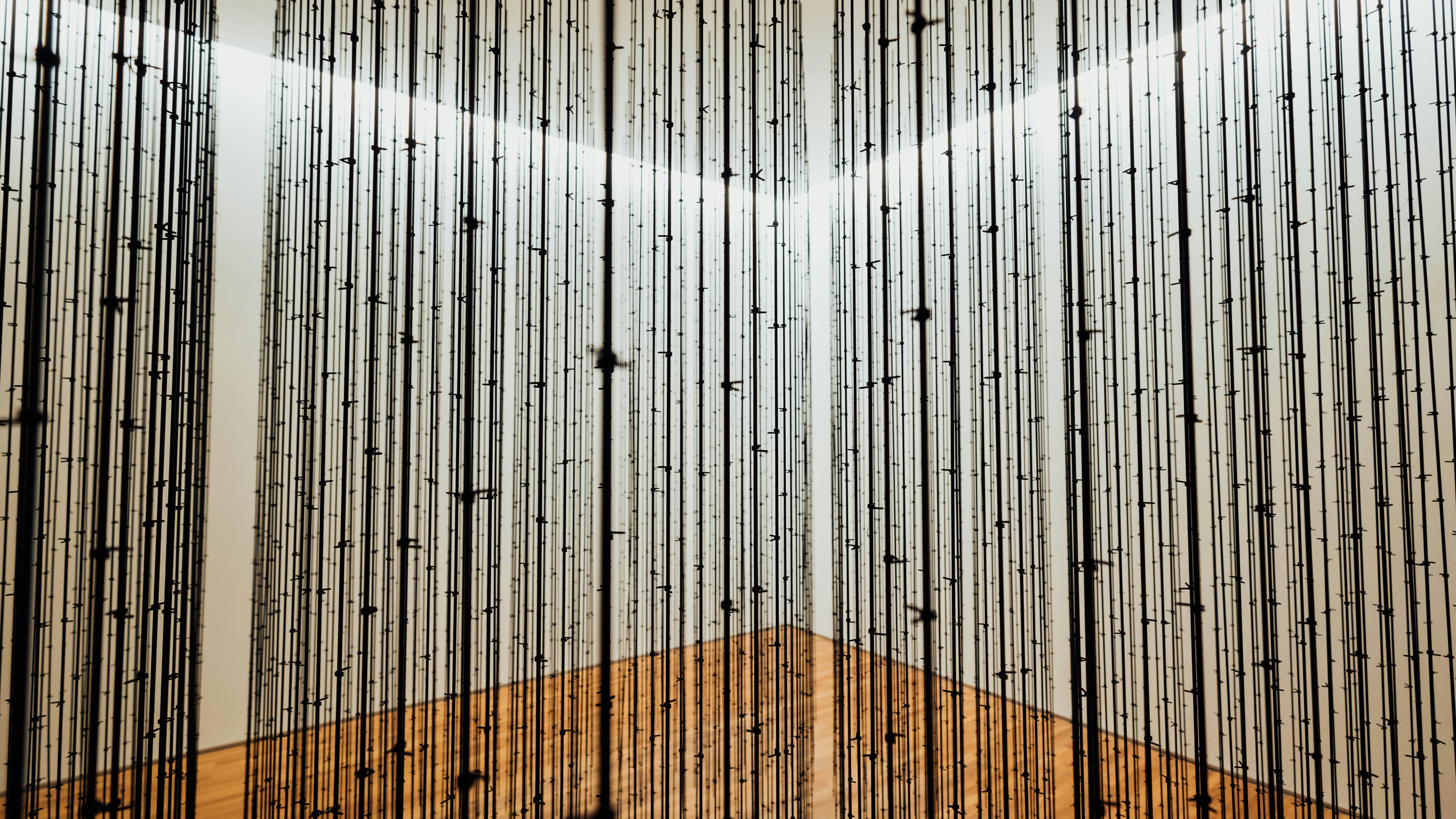 Photo by chuttersnap