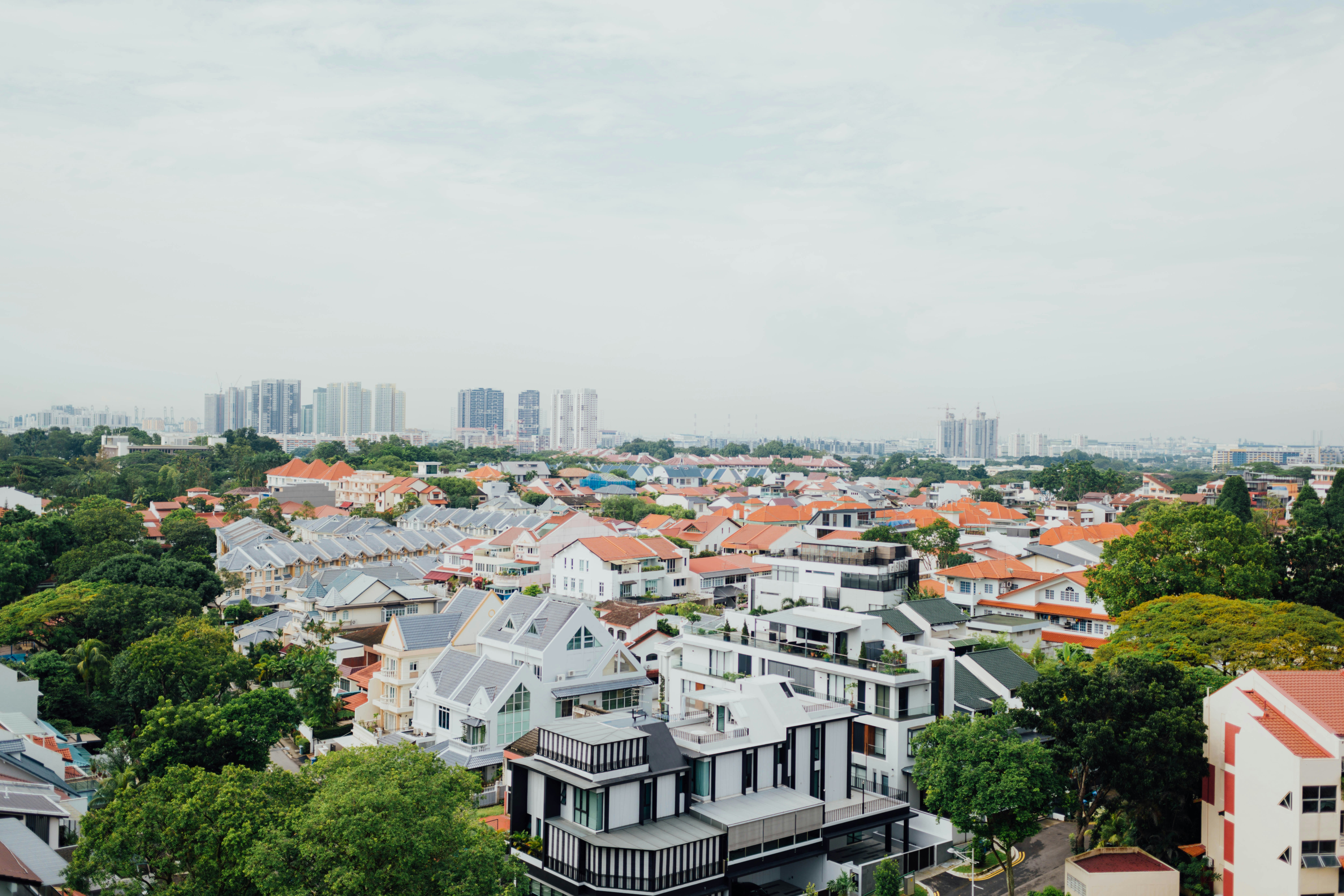 Photo by chuttersnap