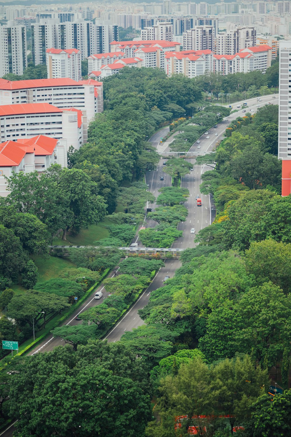 cars on the road near trees and buildings