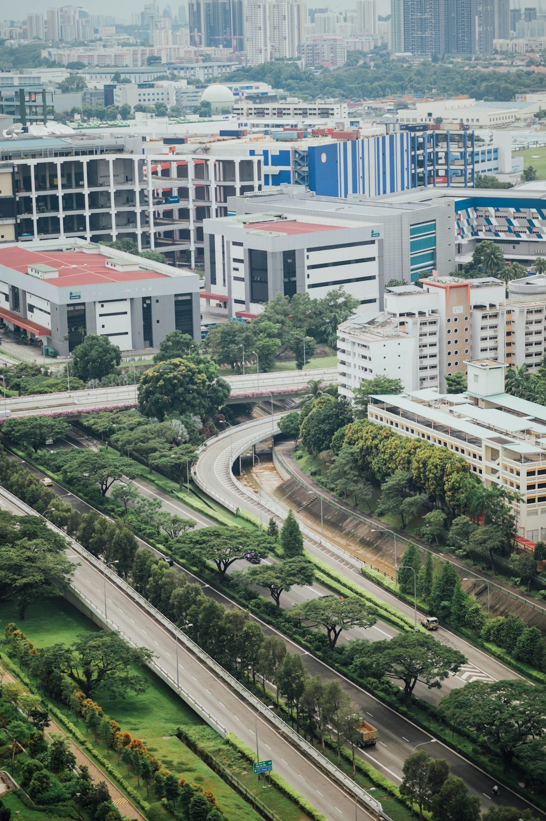 aerial photography of highways between trees near buildings during daytime