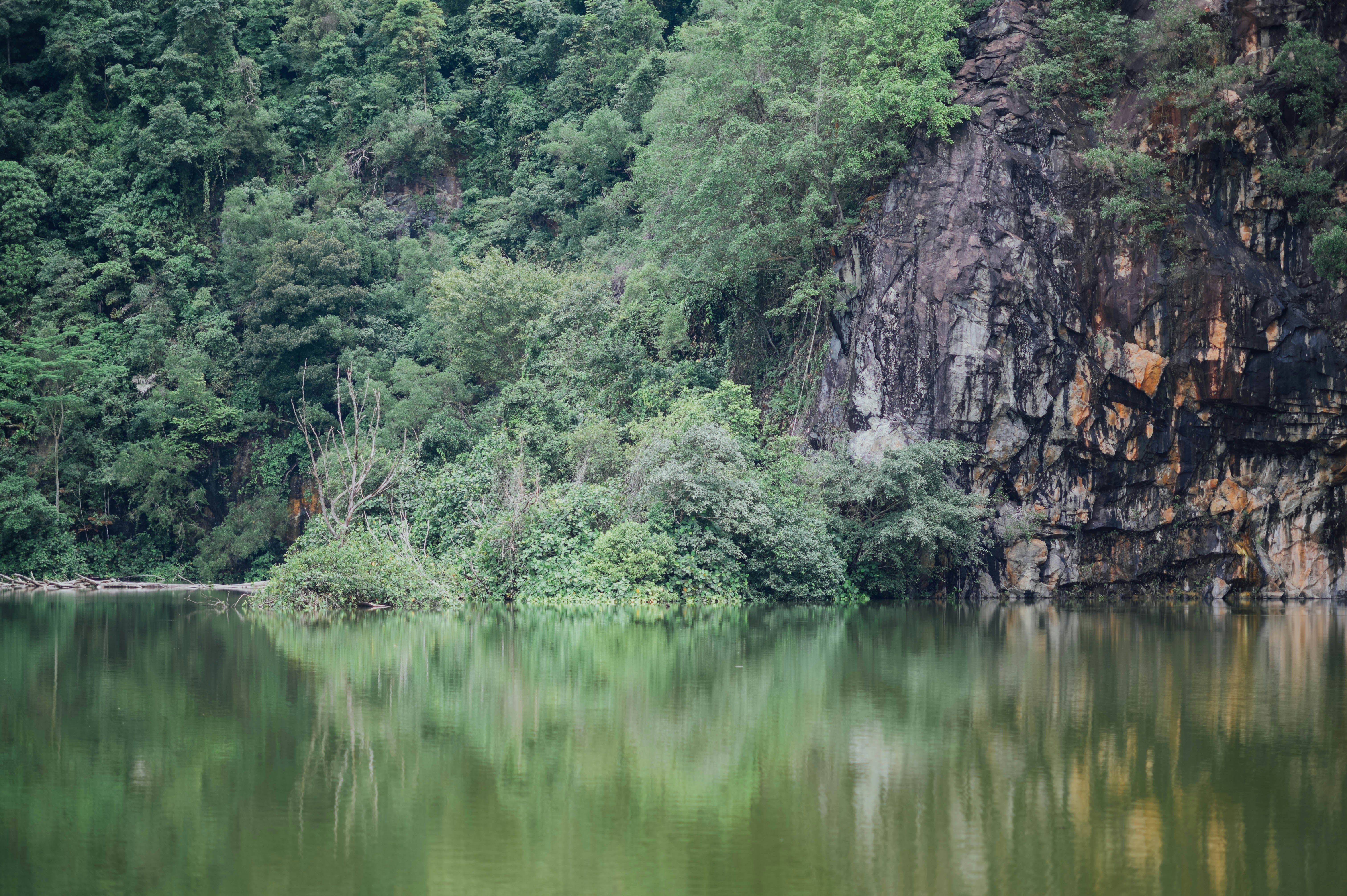 Photo by chuttersnap