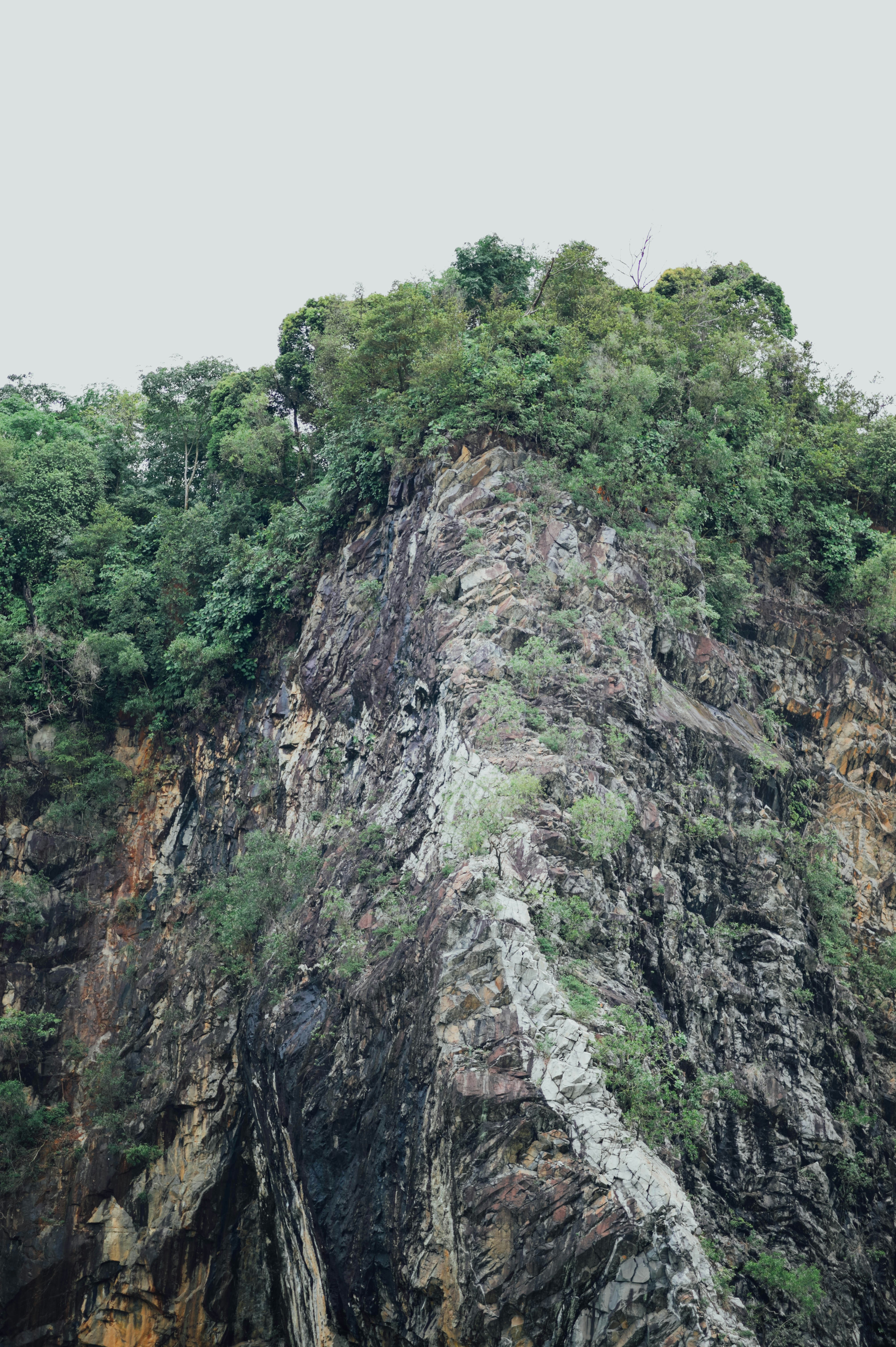 Photo by chuttersnap