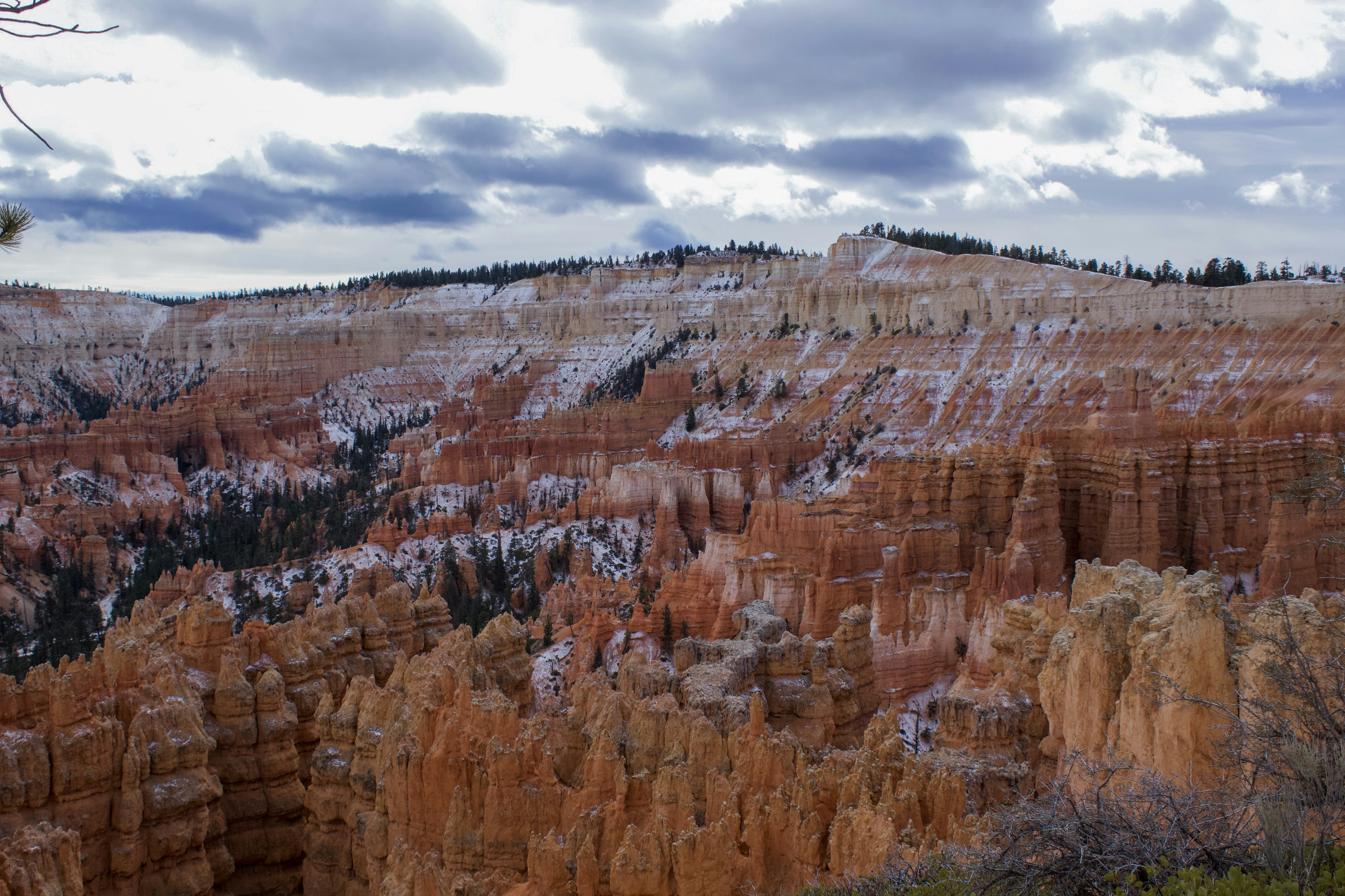 Photo by cy_stillman