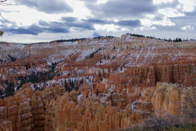 Snow-dusted pine trees contrasting against the deep canyon walls in winter.