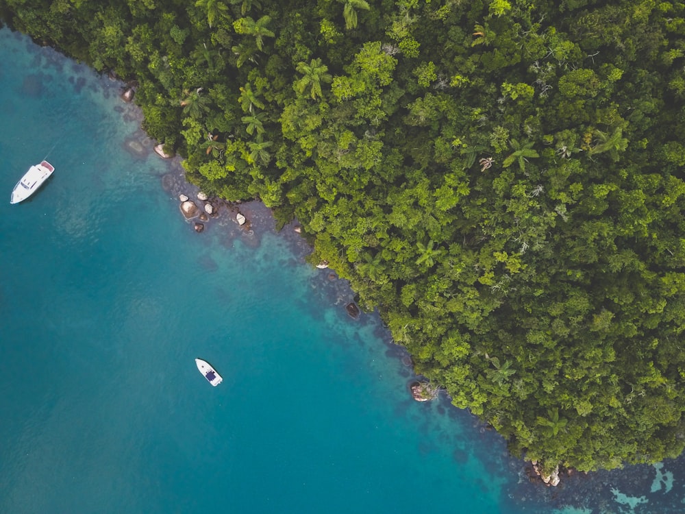 aerial view of boats on calm water near trees