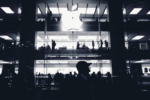 Apple's App Store: A Hurdle for Startup Innovation