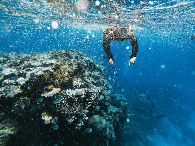 snorkeling isla de caño costa rica 