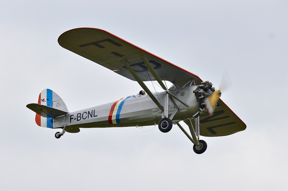 gray monoplane