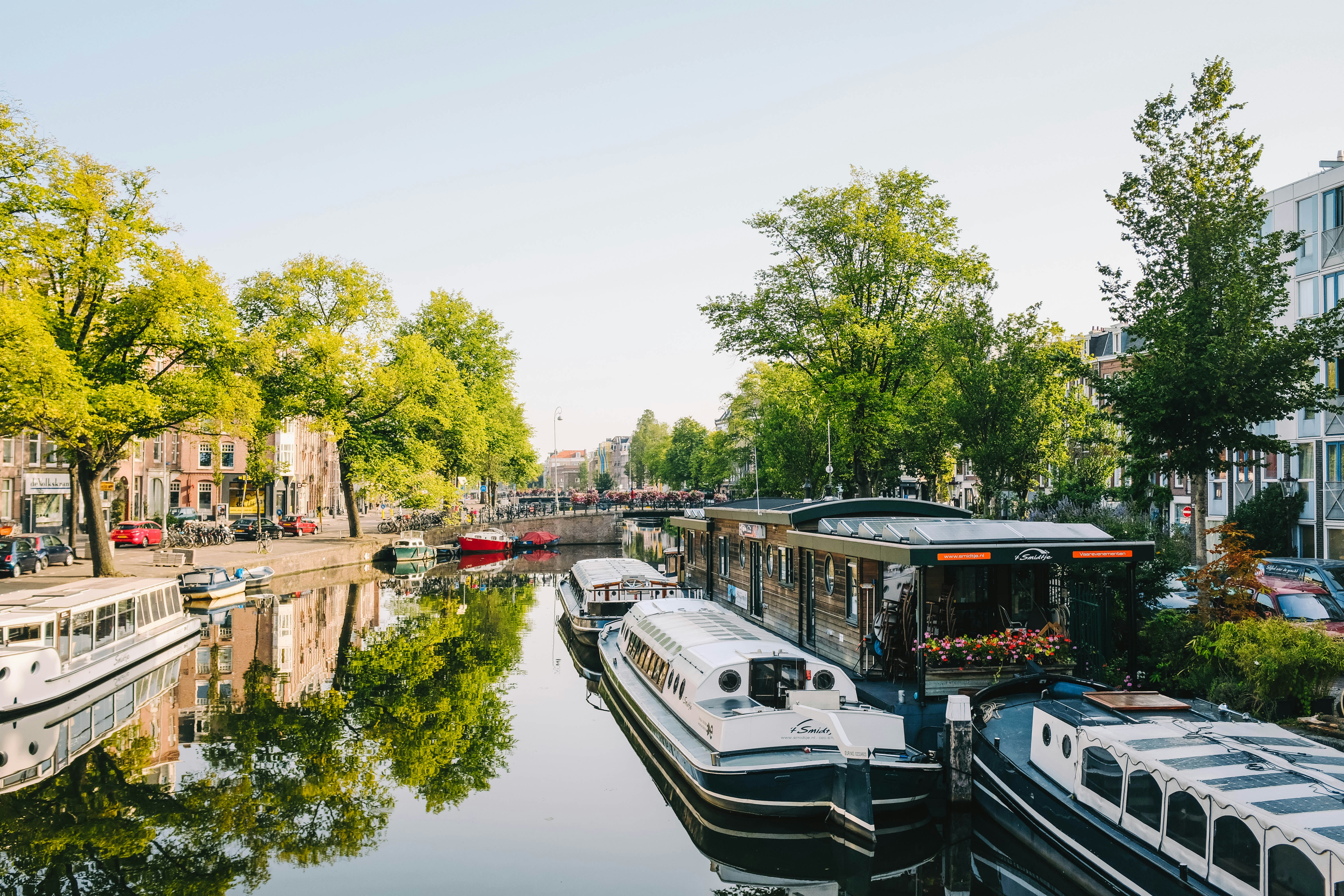 four white boats on body of water