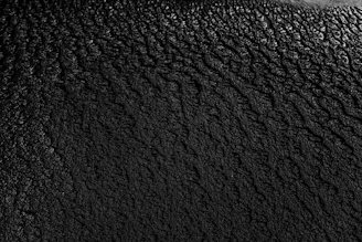 black and gray floral textile