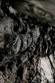 black and white floral scoop neck long sleeve shirt