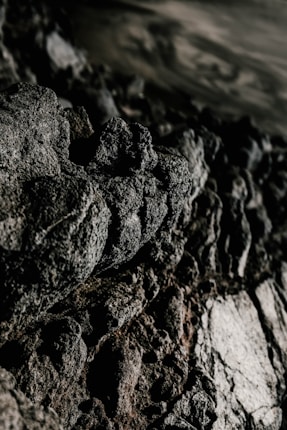 black and white floral scoop neck long sleeve shirt