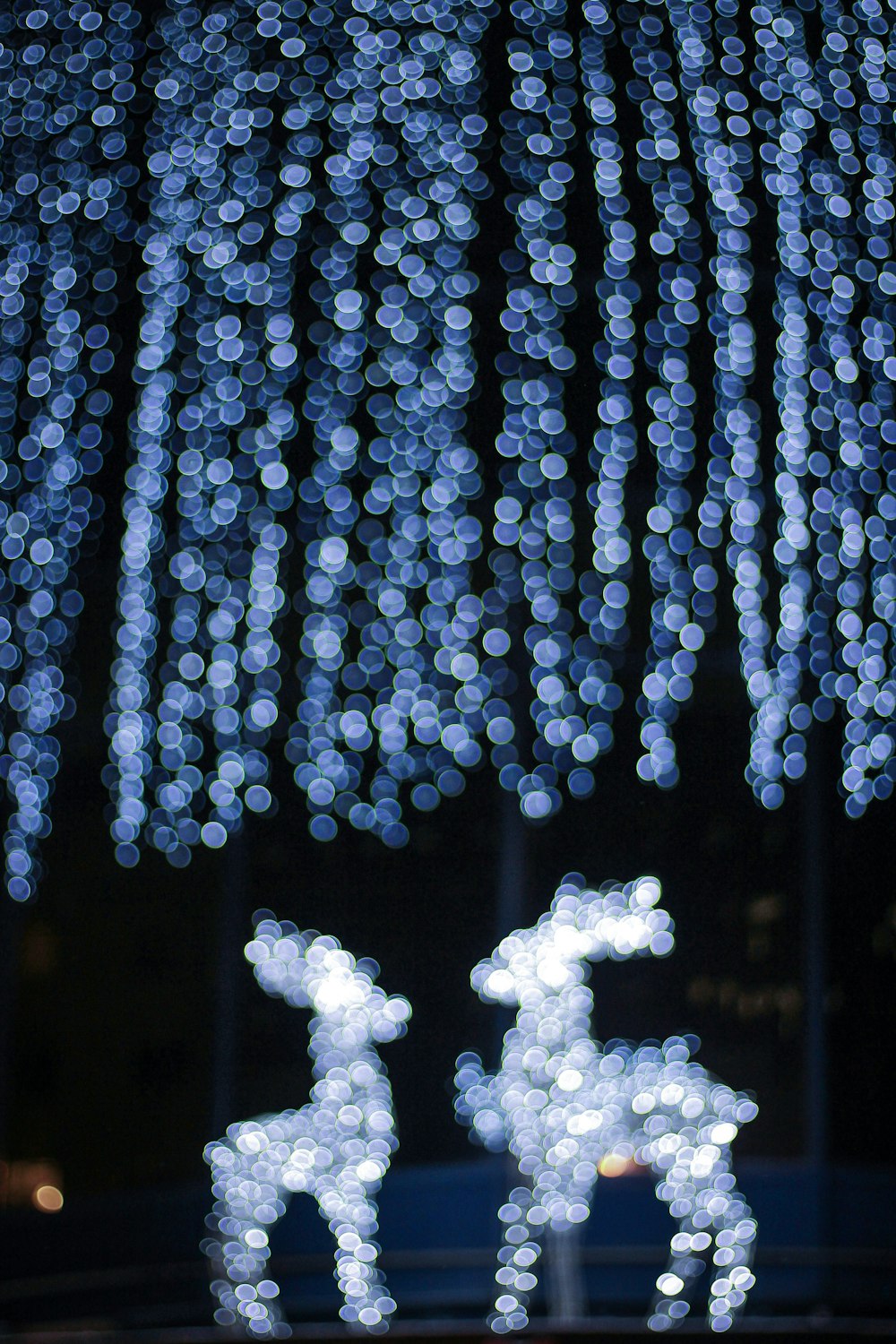 bokeh photography of reindeer topiary lamos