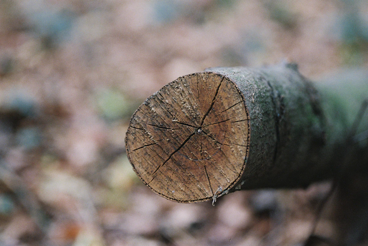 How to use Distraction Log for a real task