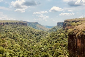 landscape photo of mountains and trees