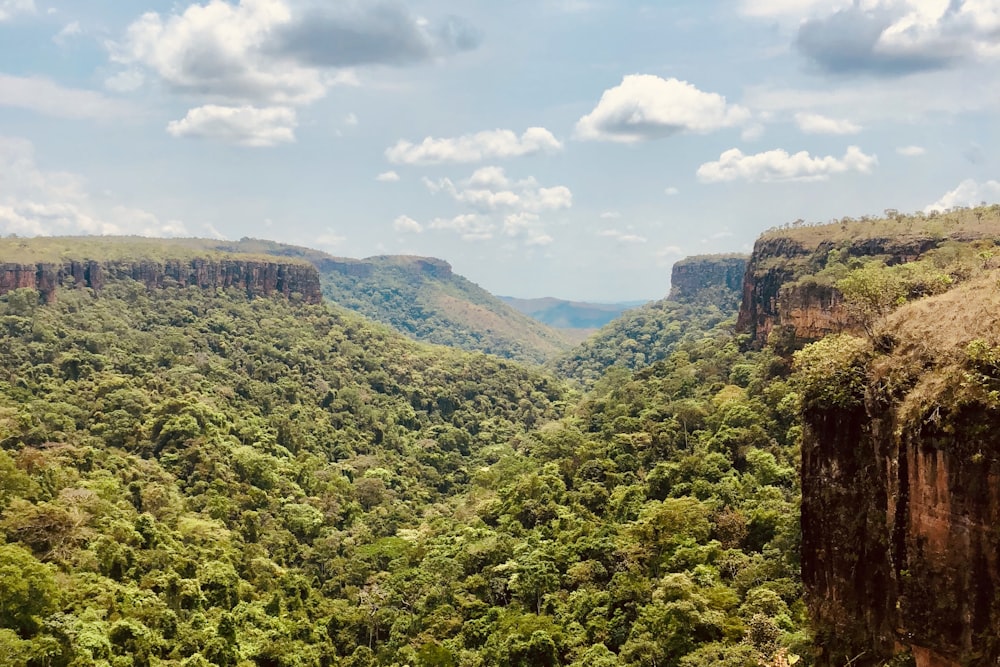 landscape photo of mountains and trees