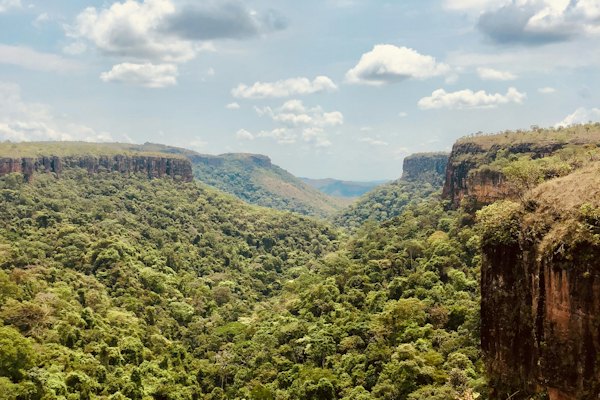 Forested canyon walls under the plateau — Chapada dos Veadeiros, Brazil