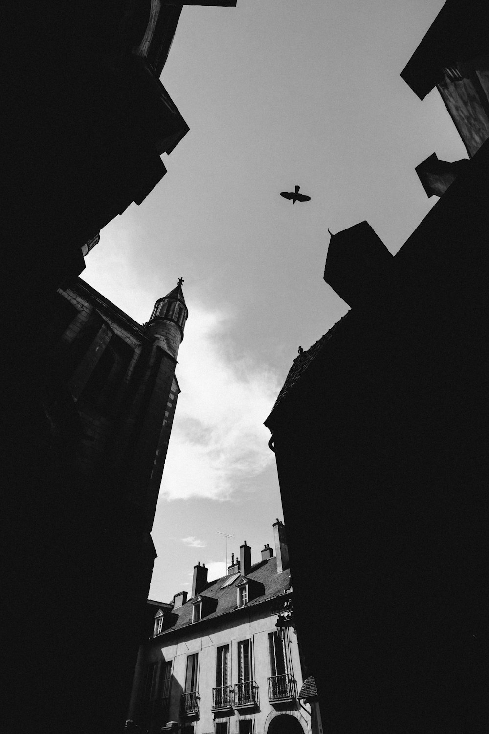 grayscale photography of birds flying on skies