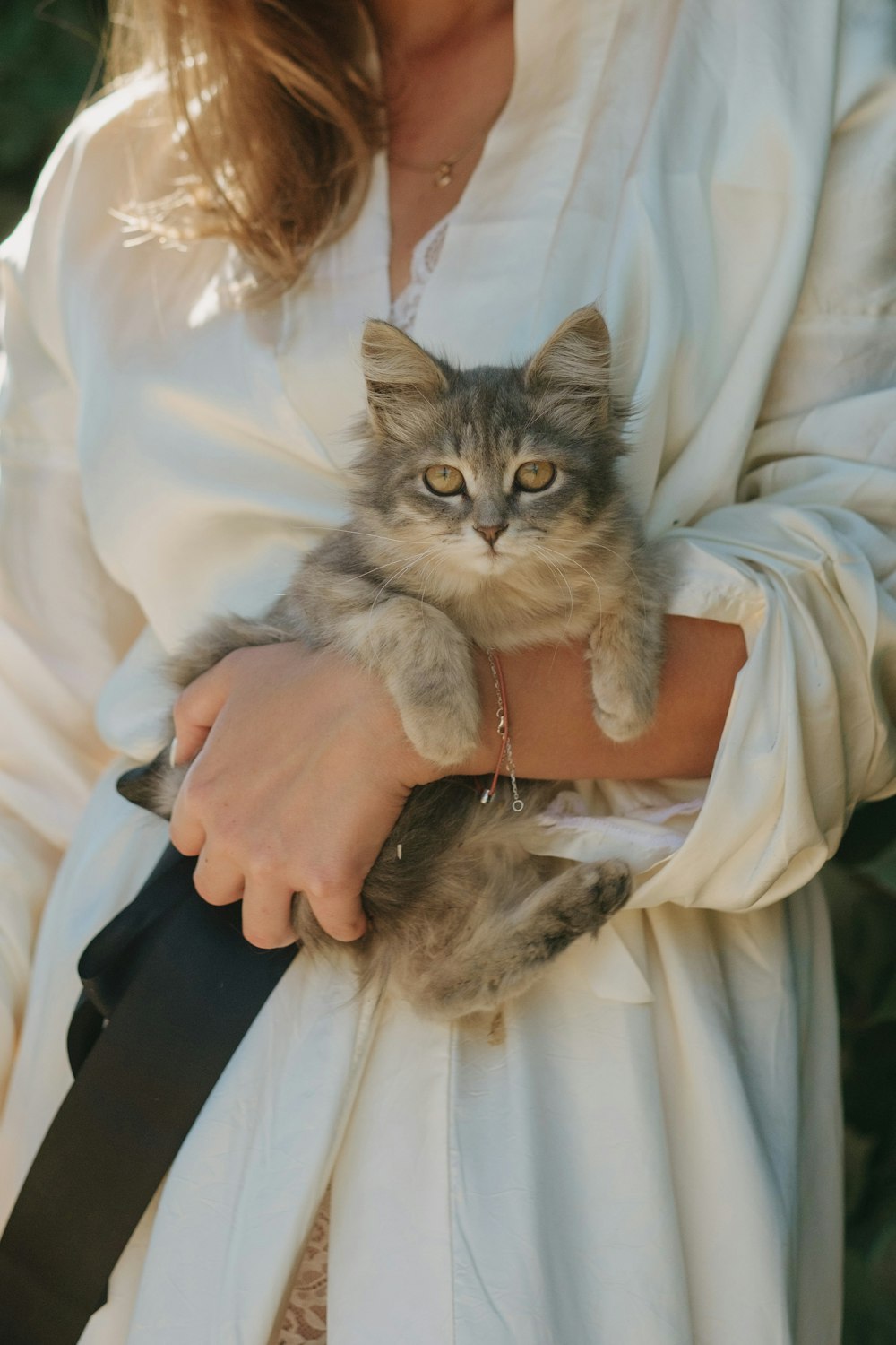 woman holding brown tabby cat