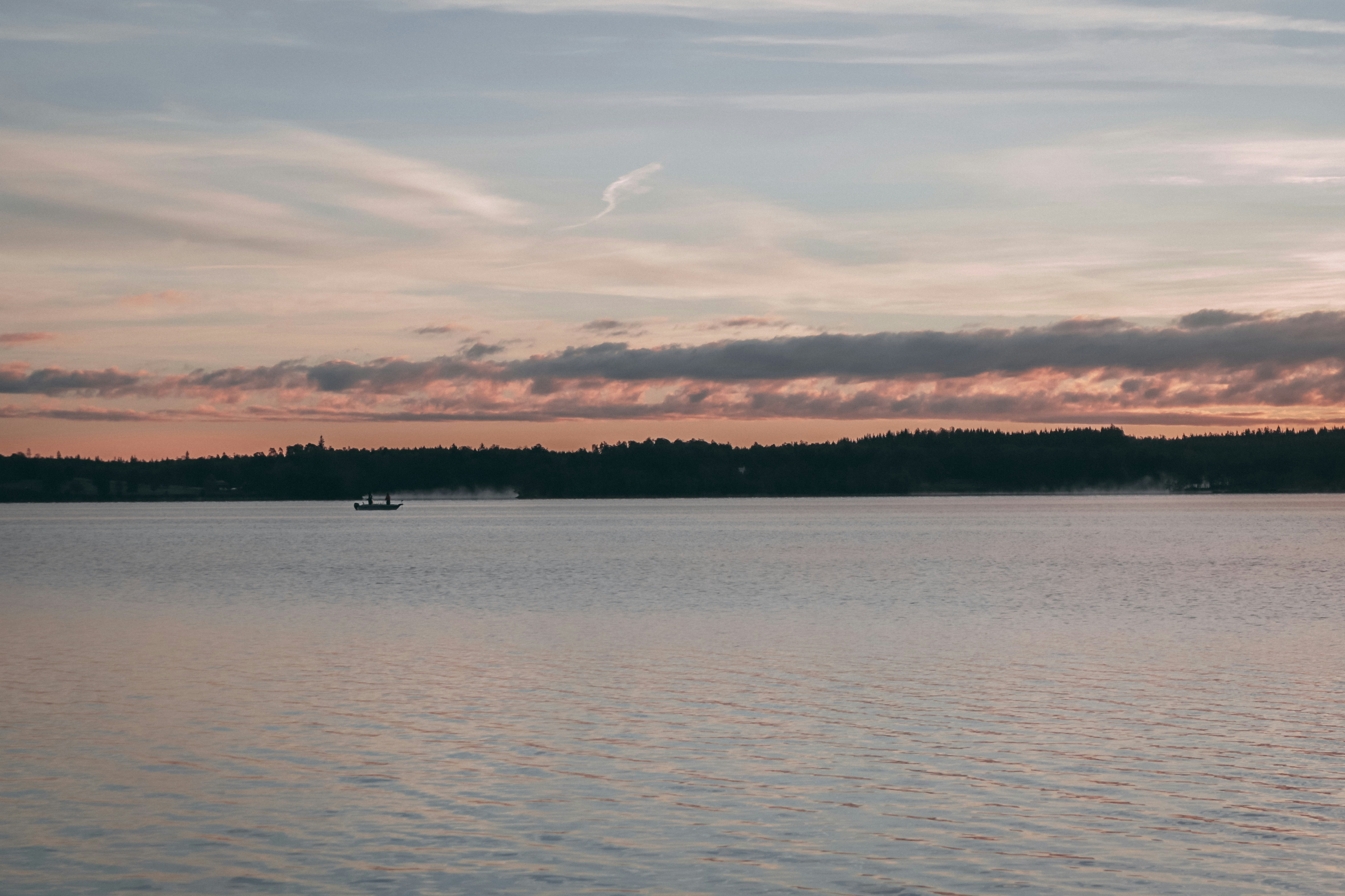 Photo by martin_ciboch