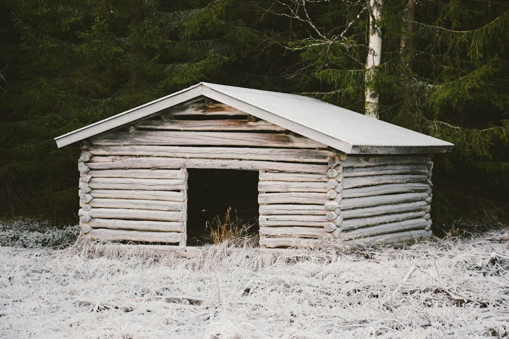 white wooden doghouse near trees