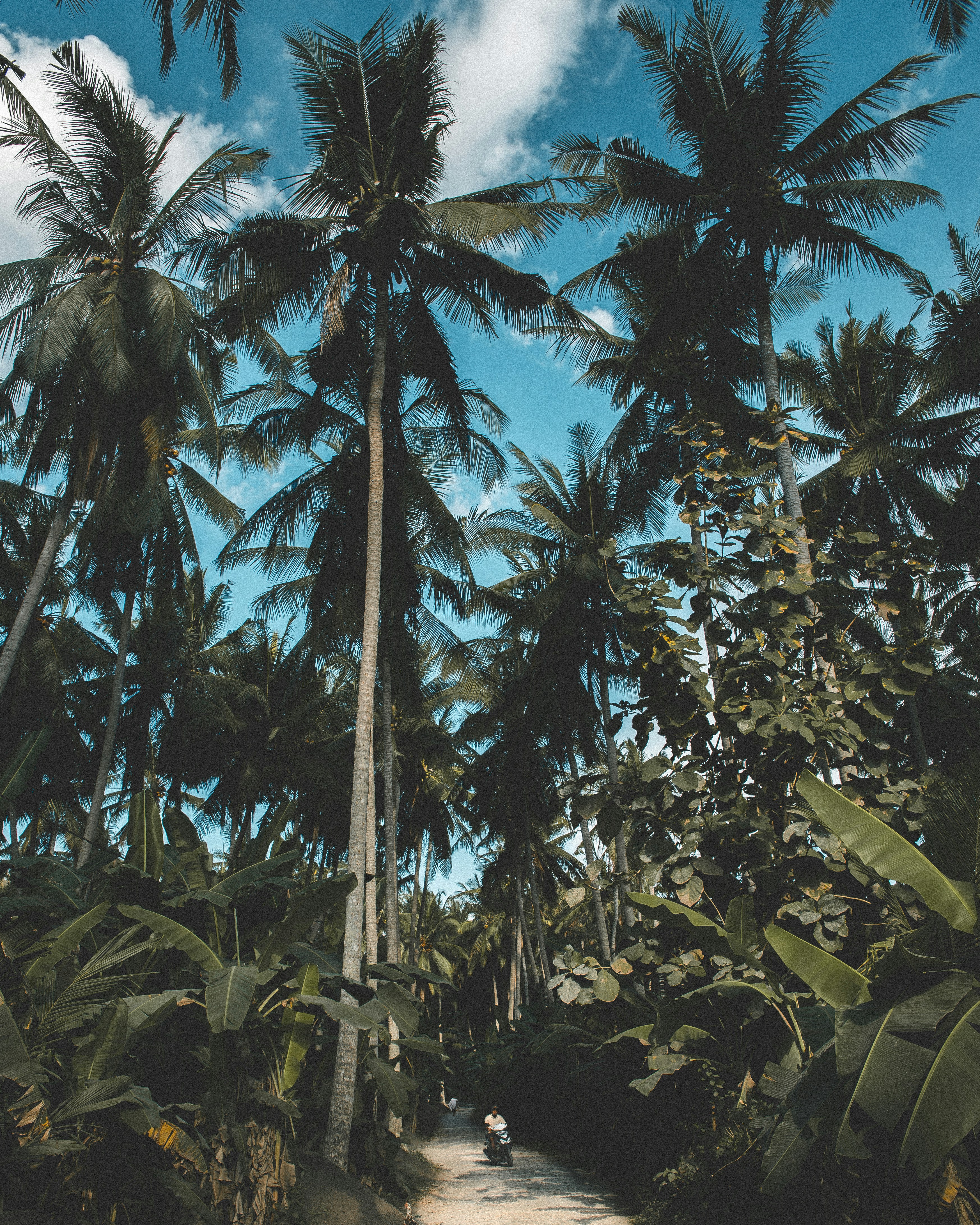 Photo by madsnordsveen