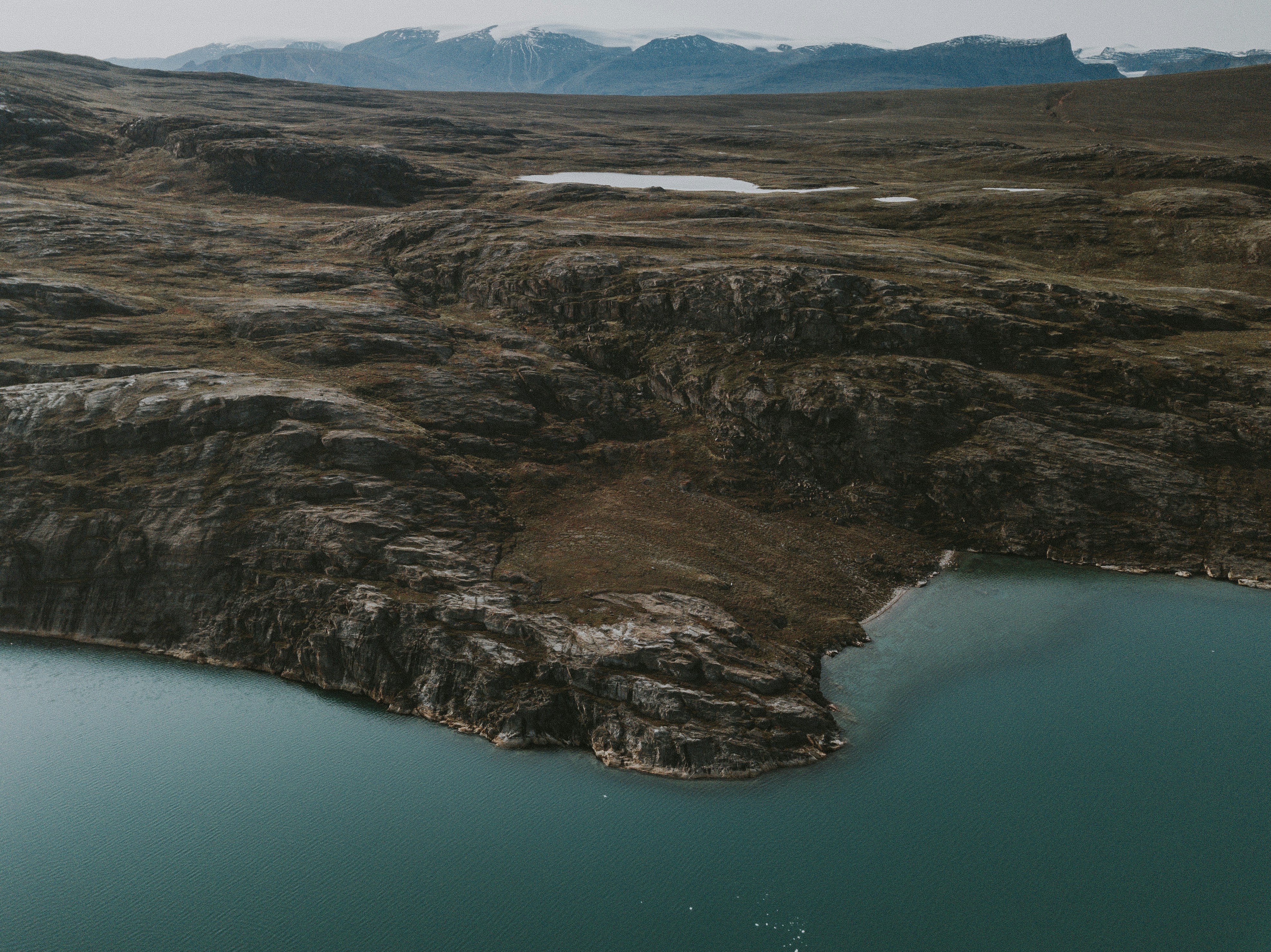 Photo by anniespratt